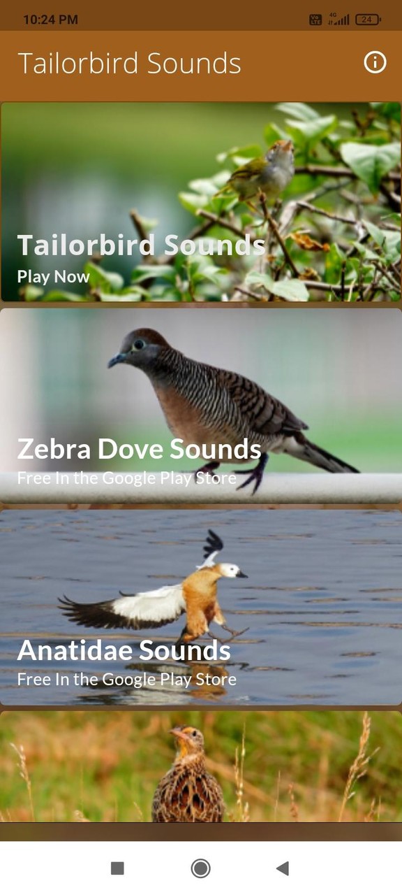 Tailorbird Sounds screenshot image 1_Popularmodapk.com