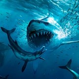 Megalodon Simulator(Mod)1.0.2_rowtechapk.com