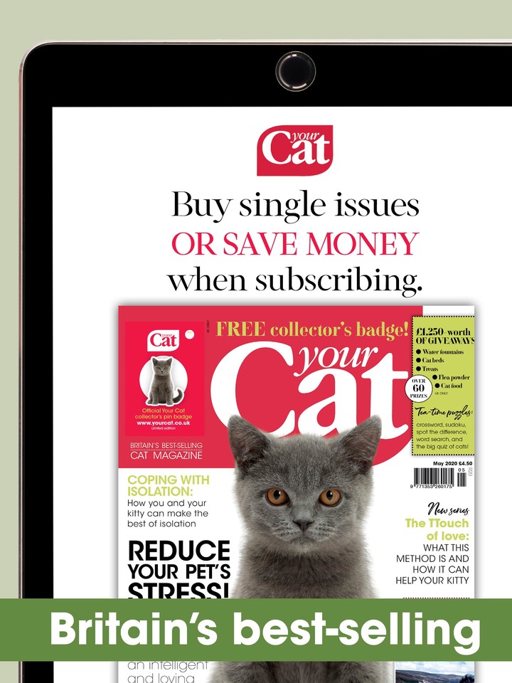 Your Cat Magazine screenshot image 7_Popularmodapk.com