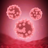 Idle Plague(Large currency)1.2.3_rowtechapk.com