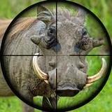 Wild Hunt - Pig Sniper Shooting1.0.36_rowtechapk.com