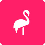 Flamingo ScootersAR3.0.2265_rowtechapk.com