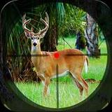 Safari Deer Hunting: Gun Games1.86_rowtechapk.com