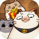 Cat box1.0.1_rowtechapk.com