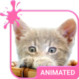 Pretty Kitty Animated Keyboard5.5.2_rowtechapk.com