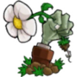 Plants vs. Zombies: Grafting Edition<span>(Unlimited sunlight)</span>0.01_rowtechapk.com