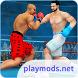 Punch Boxing Game: Ninja Fight<span>(Unlimited money)</span>3.4.1_rowtechapk.com