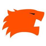 Tiger HR2.9_rowtechapk.com