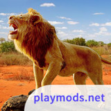 The Lion<span>(Unlimited Resources)</span>1.1.3_rowtechapk.com