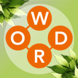 Word Connect Crossword Puzzles3.3.0_rowtechapk.com