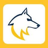 Wolf Store1.0.0015_rowtechapk.com