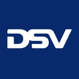 DSV Driver22.5.19-build.3_rowtechapk.com