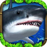 Wildlife Simulator: Shark<span>(Mod APK)</span>1.0_rowtechapk.com