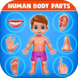 Human Body Parts - Kids Games4.3_rowtechapk.com