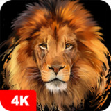 Lion Wallpapers 4K5.5.93_rowtechapk.com