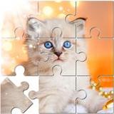 Jigsaw Puzzle Mania: Mind Game1.4.3_rowtechapk.com