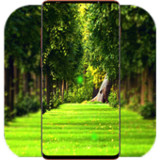 Green Nature Wallpaper1.09_rowtechapk.com