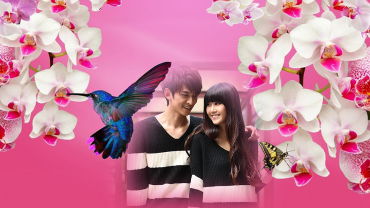 orchid photo frames costume montage editor screenshot image 7_Popularmodapk.com