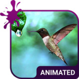 Colibri Animated Keyboard + Live Wallpaper3.63_rowtechapk.com