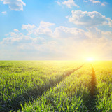 Alberta BlueBook1.1_rowtechapk.com