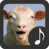 Sheep Sounds3.2.1_rowtechapk.com