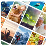 Picture Quiz: World2.7.9_rowtechapk.com