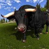 Angry Bull Attack Survival 3D2.7_rowtechapk.com