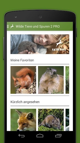 ISIWI screenshot image 2_Popularmodapk.com