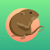 Arvicola Obs1.39_rowtechapk.com