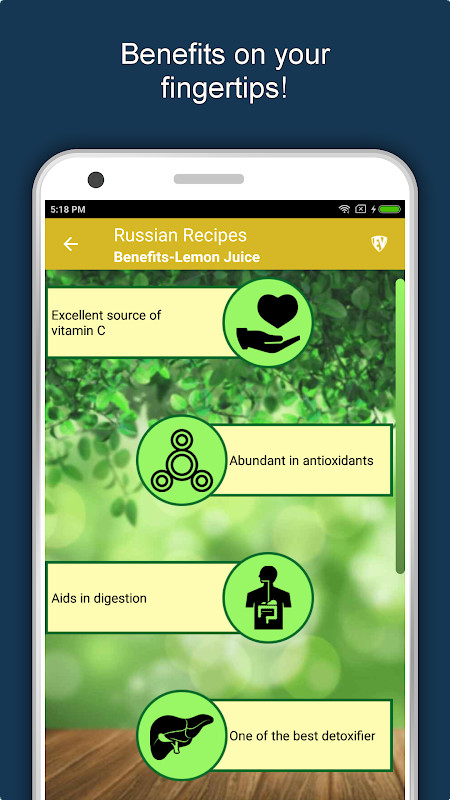 Russian Food Recipes Offline screenshot image 10_Popularmodapk.com