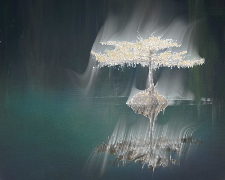 Ring Lord: Shadow ghost Camera screenshot image 1_Popularmodapk.com