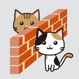 Cat and Wall - Strategy Game -4.4_rowtechapk.com