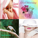 Good Morning: Greetings, GIF Wishes, Text Quotes2.0.46_rowtechapk.com