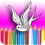 Litle Birds Coloring Book7.0_rowtechapk.com