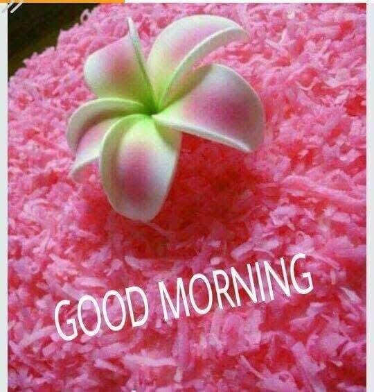 Good Morning & Good Night 2023 screenshot image 9_Popularmodapk.com