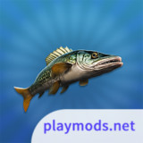 True Fishing 2<span>(No Ads)</span>1.0.9_rowtechapk.com