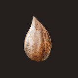 Mitoza<span>(No Ads)</span>0.60_rowtechapk.com