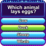 Trivia Crush1.6.7_rowtechapk.com