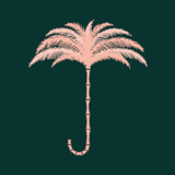 Laki Kane10.2.2_rowtechapk.com