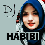 DJ Habibi2.0.0_rowtechapk.com