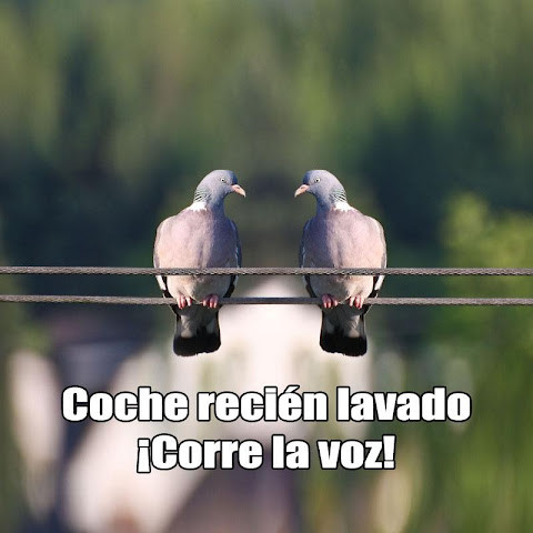 Carcajados: Memes, Chistes, Humor screenshot image 13_Popularmodapk.com