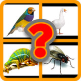 İngilizce Hayvanlar - Karma10.9.1_rowtechapk.com