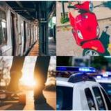 transport vehicles quiz9.3.6z_rowtechapk.com