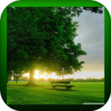 New Nature Wallpapers HD 20213_rowtechapk.com