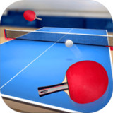 Table Tennis Touch3.2.0331.0_rowtechapk.com