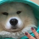 Minecraft  Founder<span>(New module)</span>1.4_rowtechapk.com