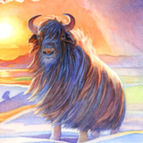 Evolution Board Game2.4.58_rowtechapk.com