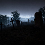 The Silent Neighbor<span>(Unlock full content)</span>1.0_rowtechapk.com