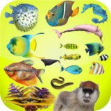 أسرار الحيوانات بدون نت1.0_rowtechapk.com