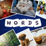 1 Pic 3 Words1.1.1_rowtechapk.com